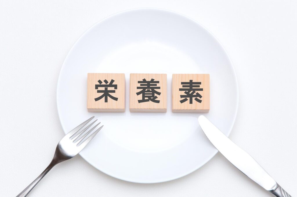 栄養素と書かれたブロックを乗せた皿とナイフやフォーク